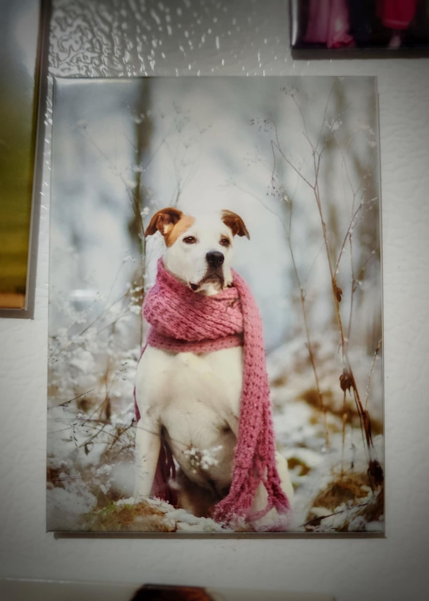 2.5x3.5” Custom Photo Magnet